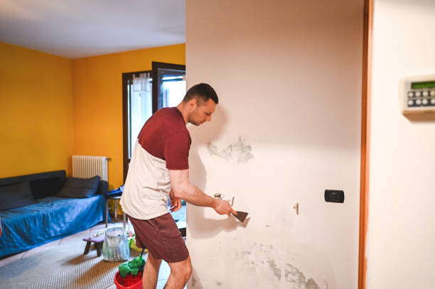Best Industrial Mold Remediation in Hermosa Beach, CA
